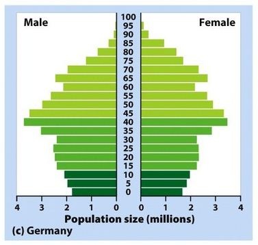 smaller at bottom than top