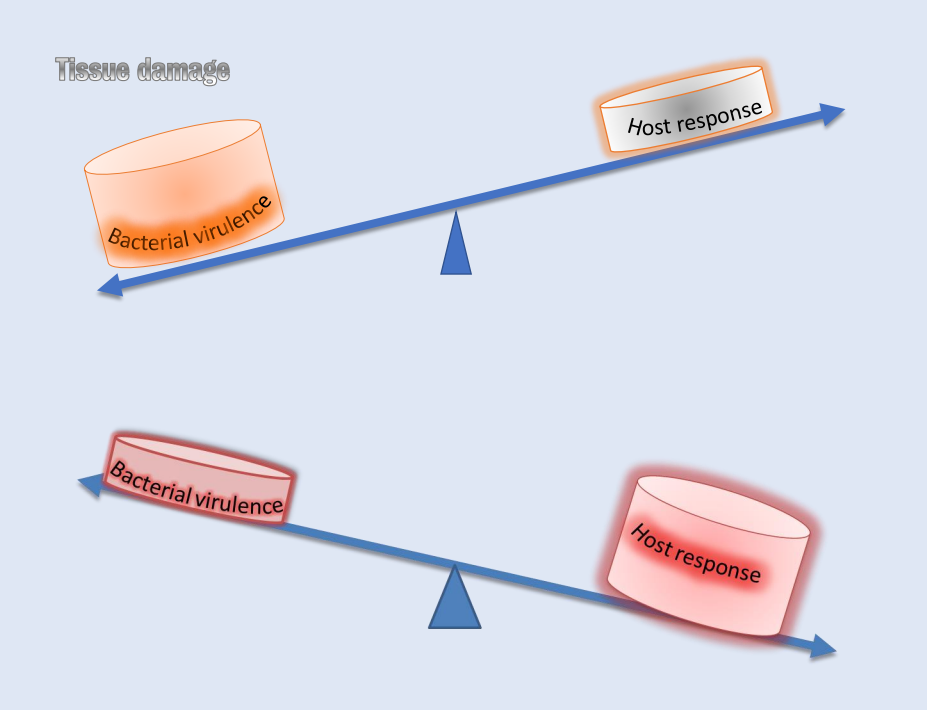 <p><span style="background-color: transparent;"><span>Tissue damage can occur for either combo</span></span></p>