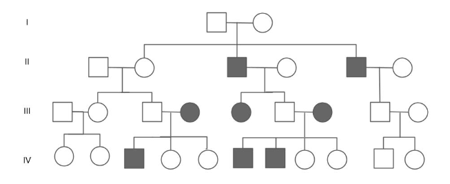 <p>If II-3 and II-4 were to have another <strong>son</strong>, what is the probability of their child having the shaded trait?</p>