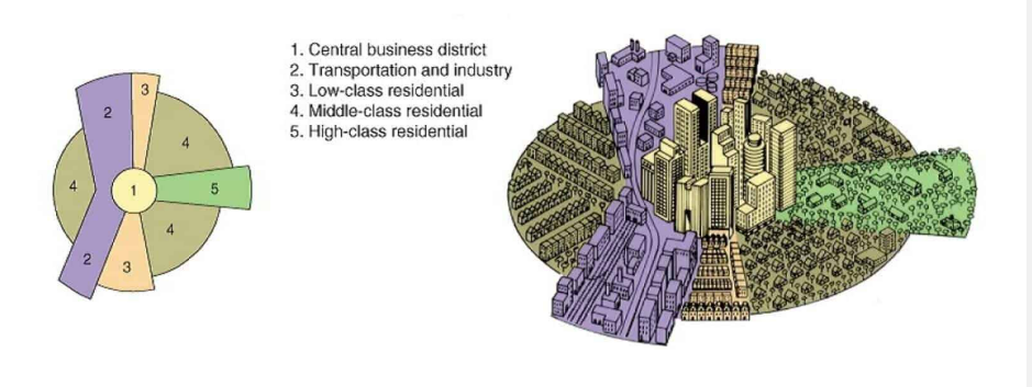<p>a model of a city’s internal organization, developed by ___ ___, that focuses on transportation and communication as the drivers of the city’s layout</p>
