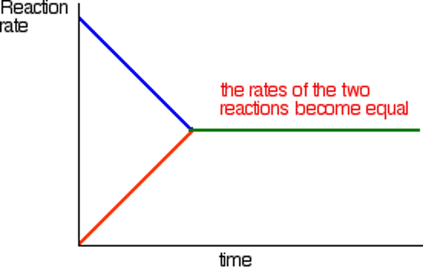 <p>The point at which chemical reactions offset one another and the forward and reverse reaction rates are equal.</p>