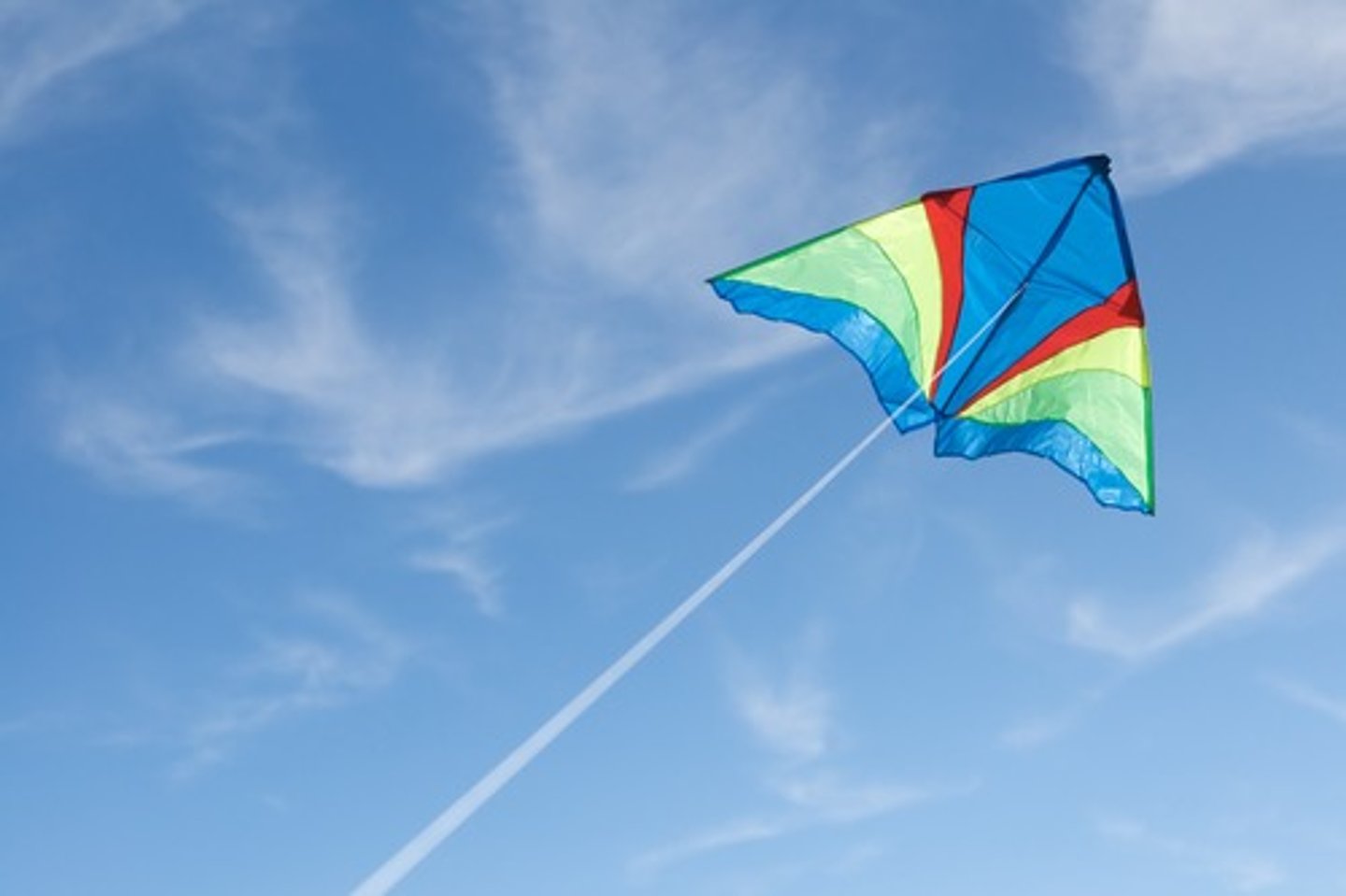<p>kite</p>