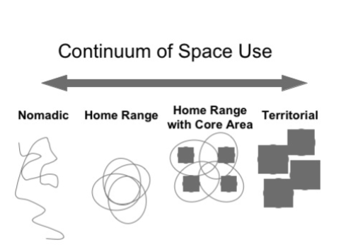 <p>nomadic, home range, home range with core area, territorial</p>