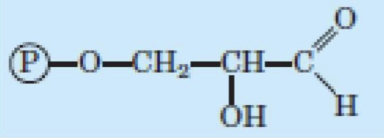 <p>What structure is this?</p>