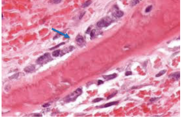 <p>what is the arrow pointing at?</p>