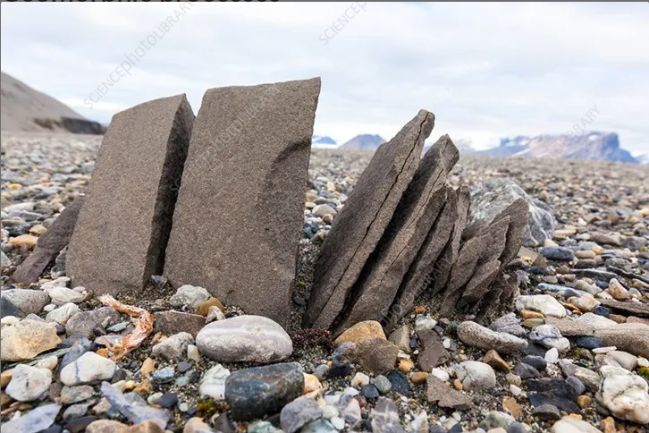<p>aka freeze-thaw weathering</p><p>caused by large temp changes between night and day</p><p>rainwater collects in cracks in rocks, water freezes into ice and expands, repeated freezing and thawing makes the crack bigger, crack widens enough for the rock to split apart</p>