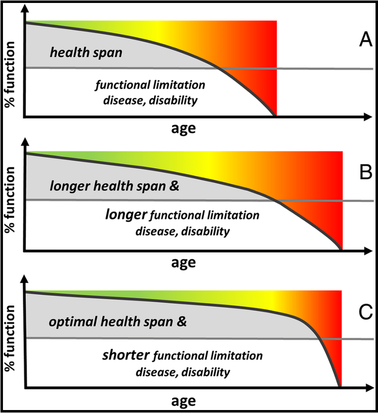 <p>what is a challenge of increasing lifespan/ life expectancy</p>