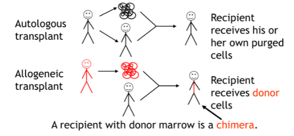 <p>other uses for STR testing</p>