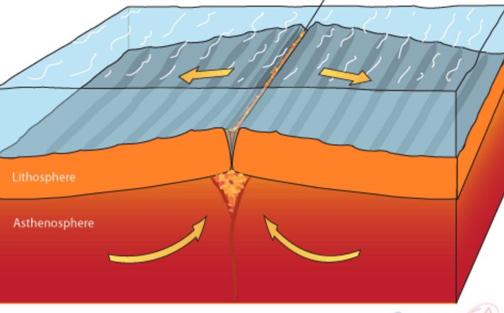 <p><span>What type of boundary is represented below?</span></p>