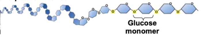 <p>What is this?</p>