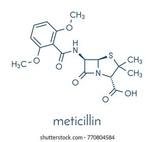 <p>So, what does Methicillin have to protect the Beta-Lactam ring?</p>