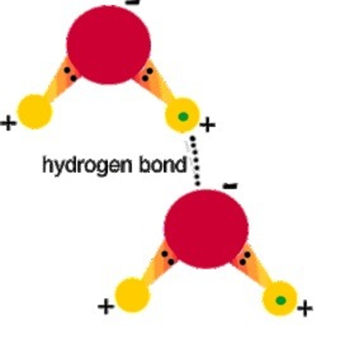 <p>weak attraction (temporary bonds) between a hydrogen atom and another atom</p><p>H2O attracted to another H2O</p><p>(hydrogen attracted to a different oxygen)</p>