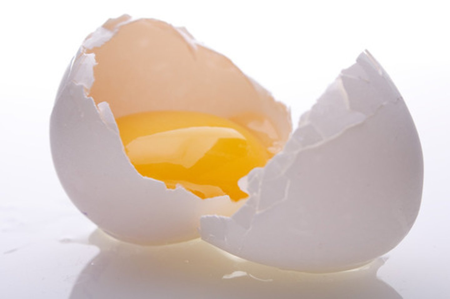<p>egg</p>