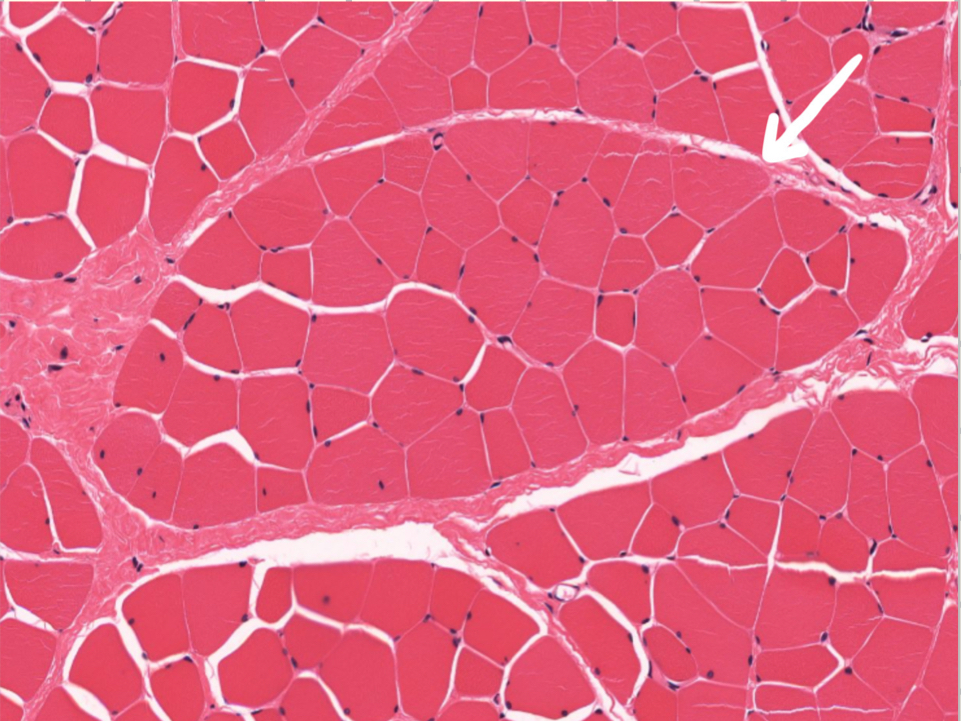 <p>What is this?</p>