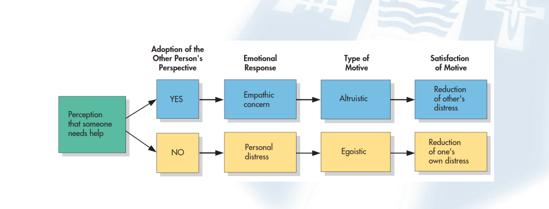 <p> • Empathic concern for a person in need produces an altruistic motive for helping </p><p>• True altruism occurs when the focus is on the other person, not on how you would feel in that person’s situation</p>
