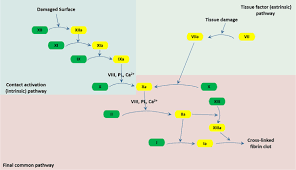 <p>if it naturally tends to happen on its own, without you having to constantly add energy to make it go. </p><p>Ex: Coagulation Cascade</p>