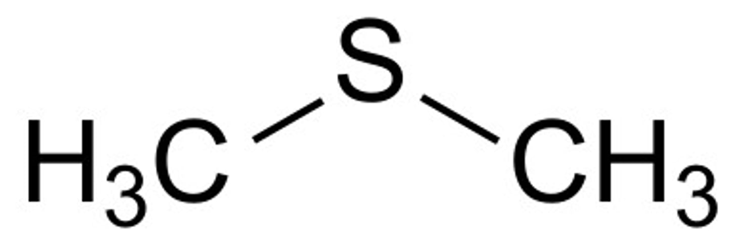 <p>S has single bond with two R.</p>
