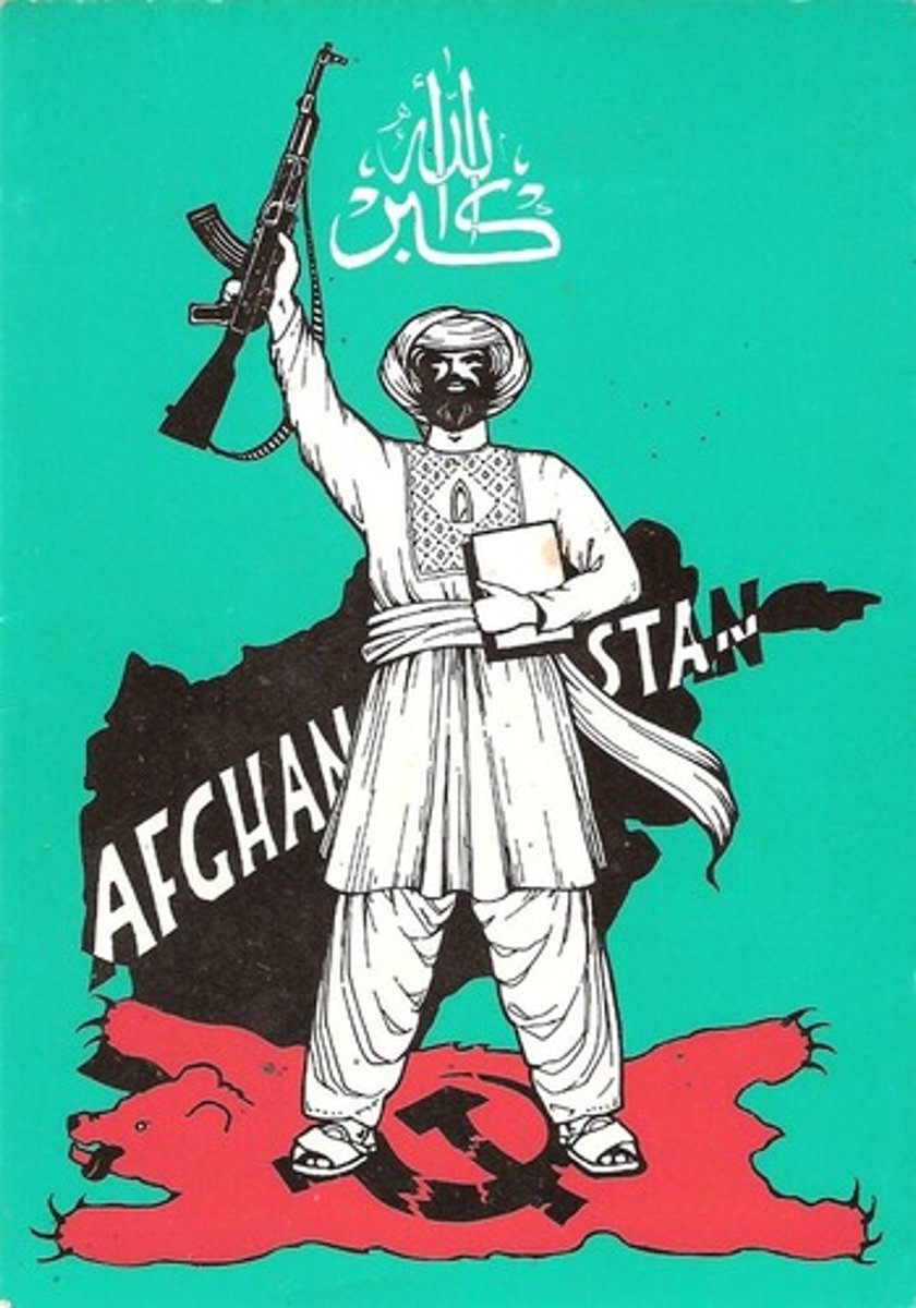 <p>Invasion launched in November 1878 in an attempt to turn India's neighbour into a client state and because the Emir of Afghanistan accepted a Russian envoy but refused to accept a British one</p><p>Nearly 10,000 British-Indian troops died before eventual victory in 1879 - Afghanistan become a protectorate</p>