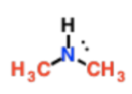 <p>N is attached to 2 Cs</p>