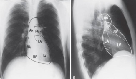 <p>what is this?</p>