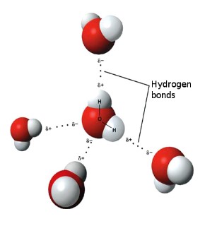 <ul><li><p>Attraction between <strong>permanent dipoles: F-H, O-H, N-H</strong> (FON)</p></li><li><p><u><strong>Special</strong></u> type of <u>dipole-dipole</u> force that is very strong</p></li><li><p>Caused by the <strong>attraction</strong> of hydrogen atoms <u><strong>bonded</strong></u> to <u>F, O, N</u> (high EN) in <u><strong>one</strong></u> molecule to the <strong>lone pair</strong> of electrons on the <u>F, O, N</u> atom of <u>another</u> molecule</p></li></ul>