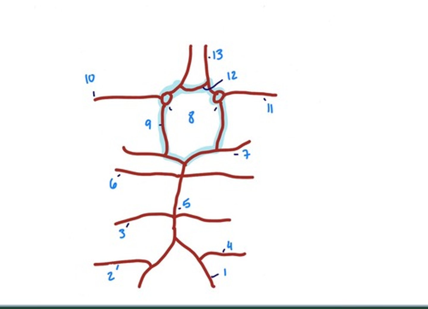 <p>5</p>