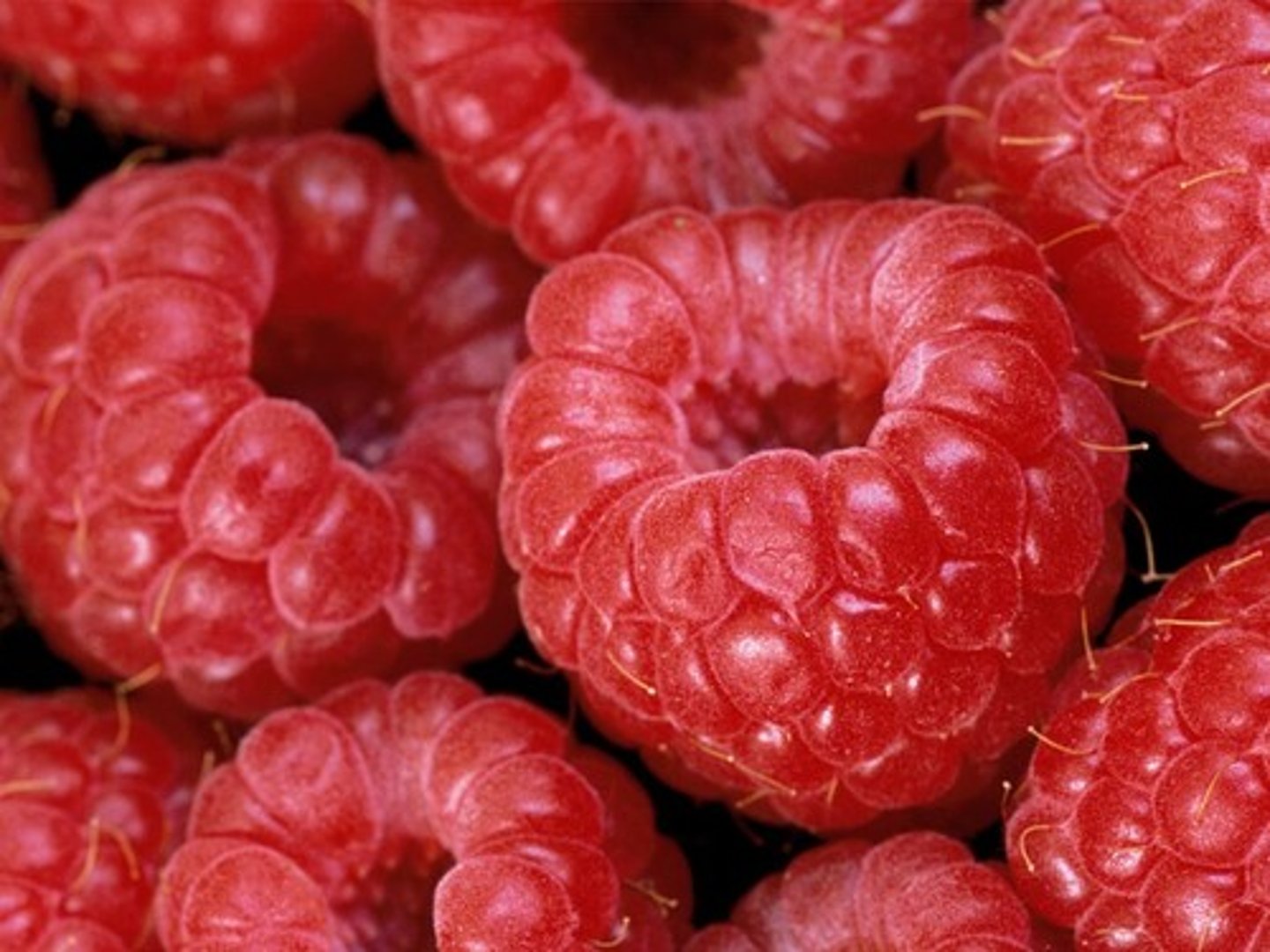<p>raspberry</p>