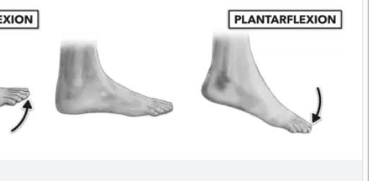 <p>pointing your toes</p>