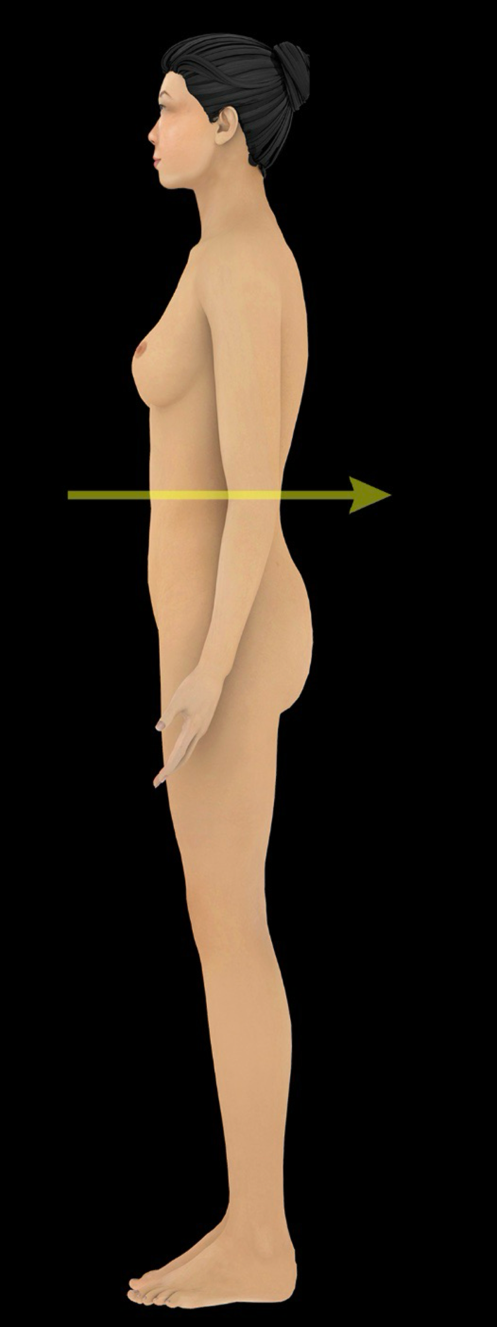 <p>toward the back of the body or relating to the back</p><p>-ex: the heart is <strong>posterior</strong> to the sternum</p><p>-opposite of anterior</p><p>-dorsal sometimes used synonymously with posterior, relates to the back</p>