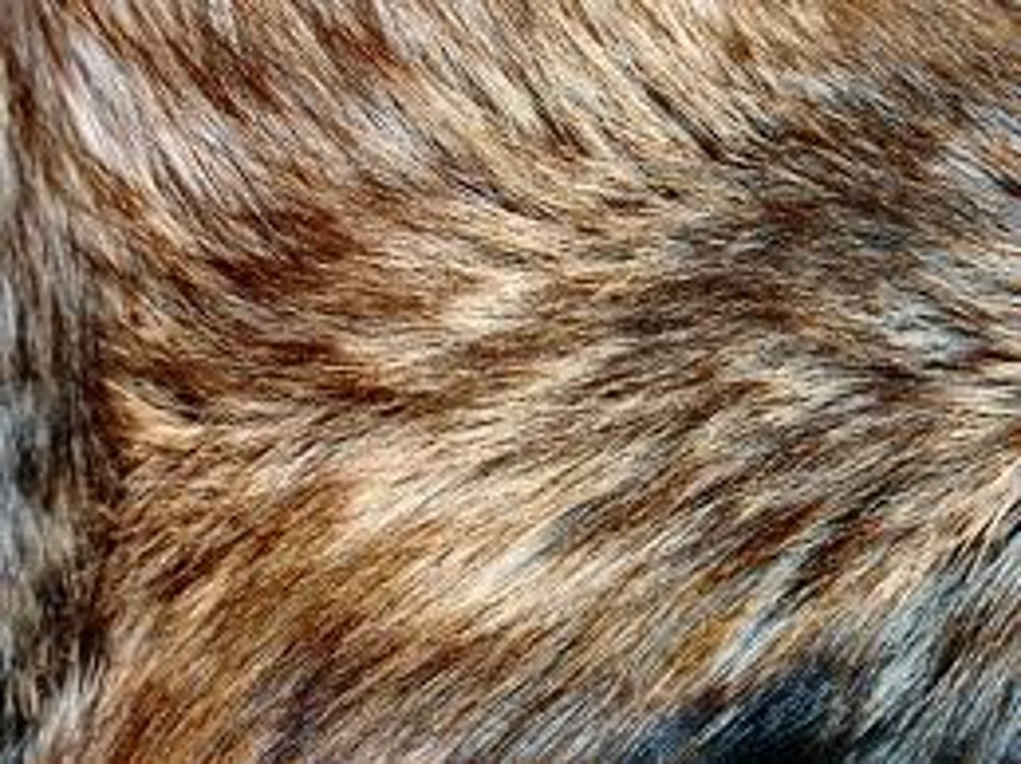 <p>Insulation value varies with thickness</p><p>- fur thickness can change with season (accumulation)</p>