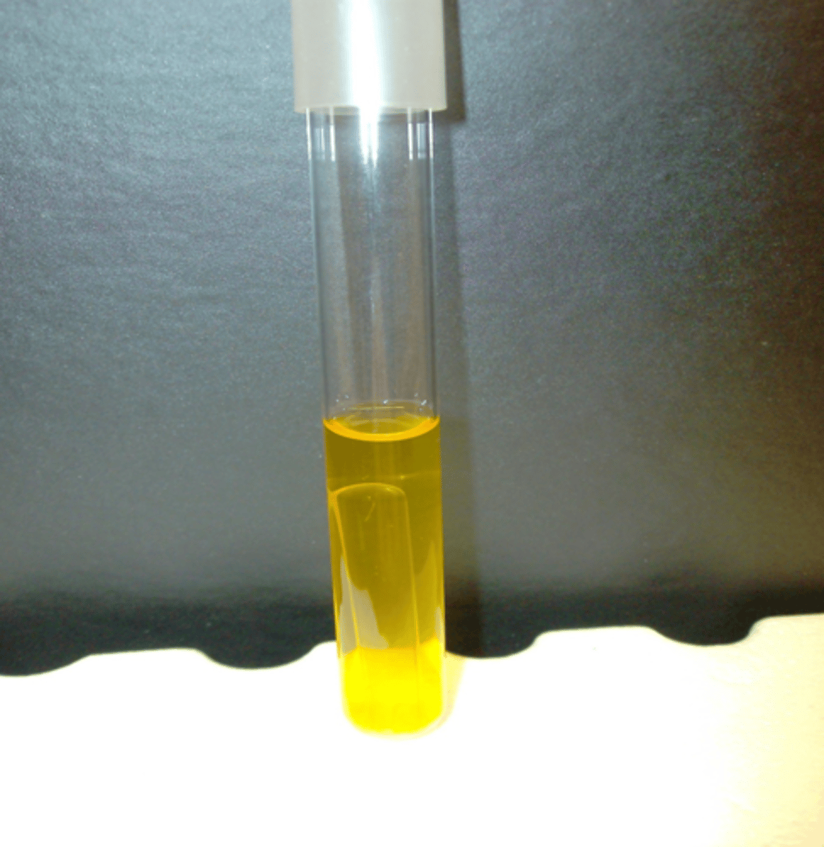 <p>- positive acid (yellow)</p><p>- negative gas (no bubble)</p>