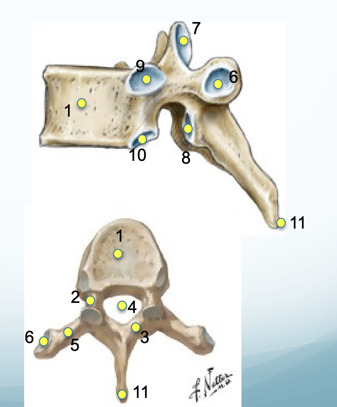 <p>7</p>