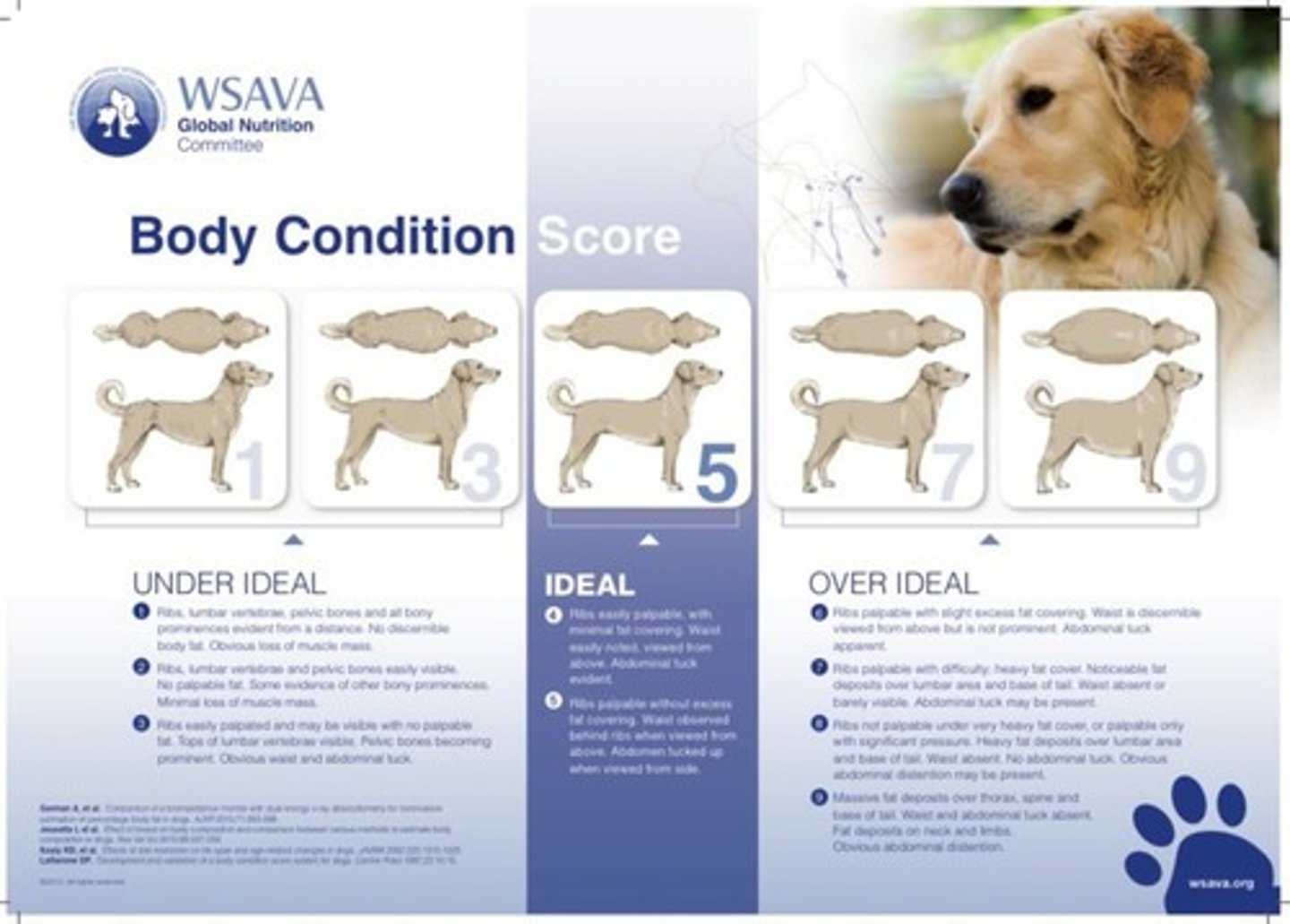 <p>Technique to assess pet's body fat level.</p>