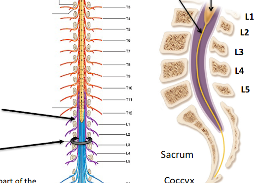 <p>label the diagram </p>