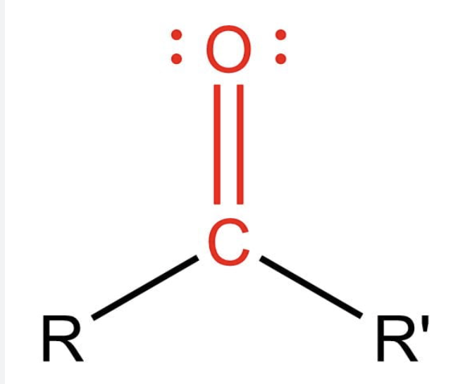 <p>functional name </p>