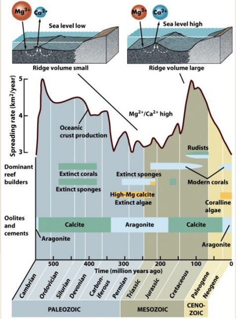 <p>Increased ratio of Ca/Mg - low-mag calcite precipitation</p>