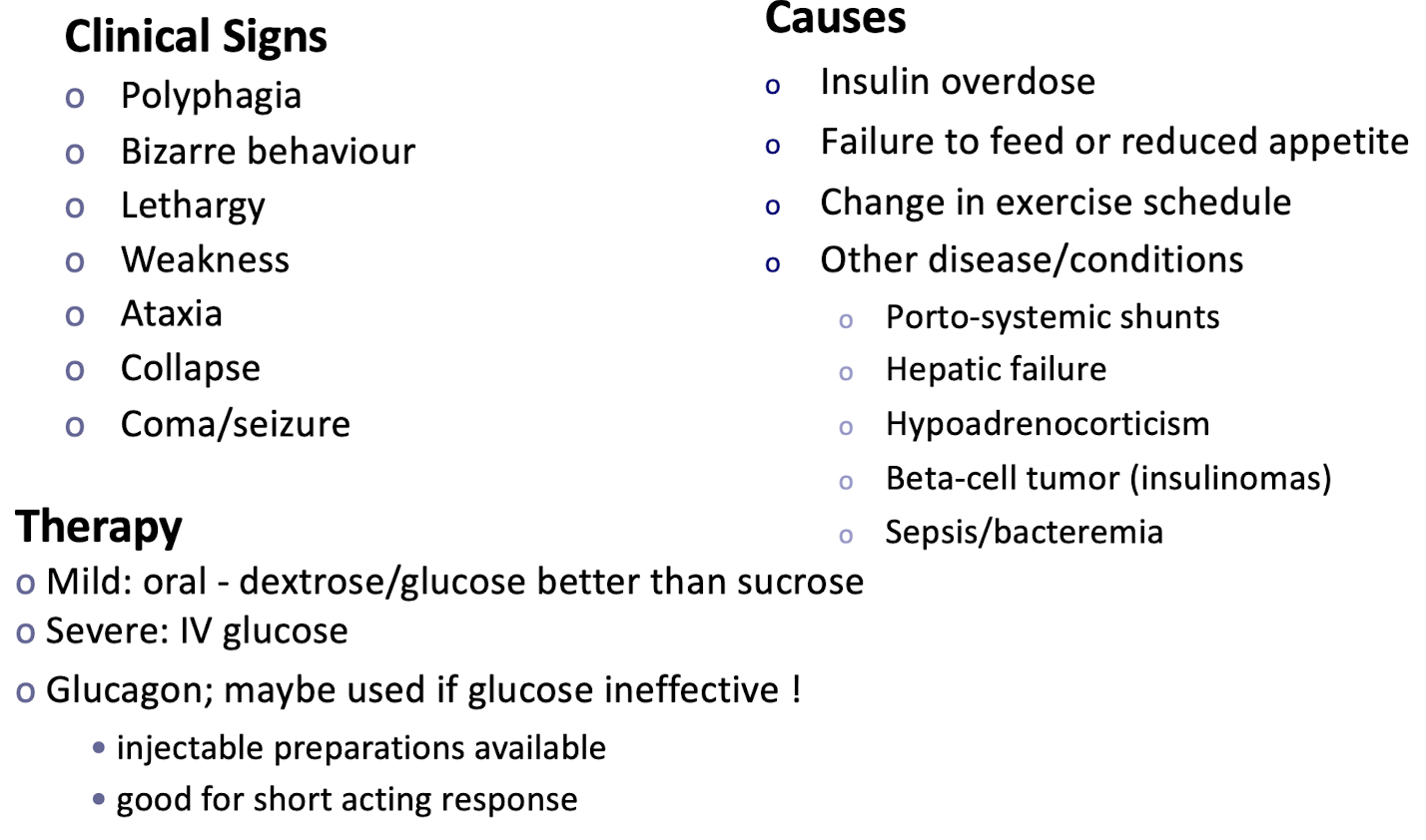 <p><strong>Hypoglycemia is most common, </strong>Insulin overdose, failure to feed, change in exercise schedule, and other disease conditions</p>
