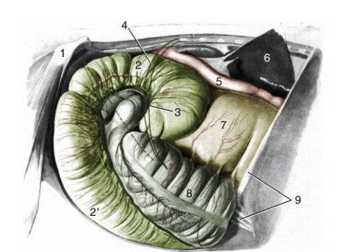 <p>What is this?</p>