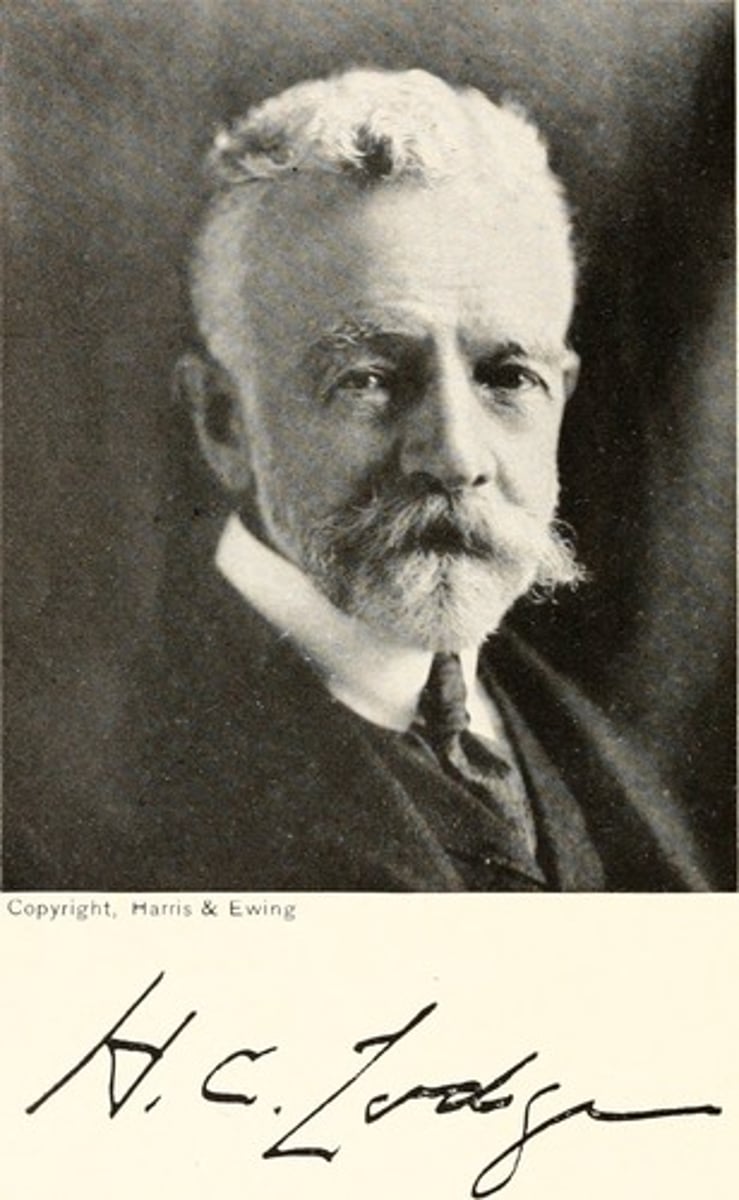 <p>Chairman of the Senate Foreign Relations Committee, he was a leader in the fight against participation in the League of Nations</p>