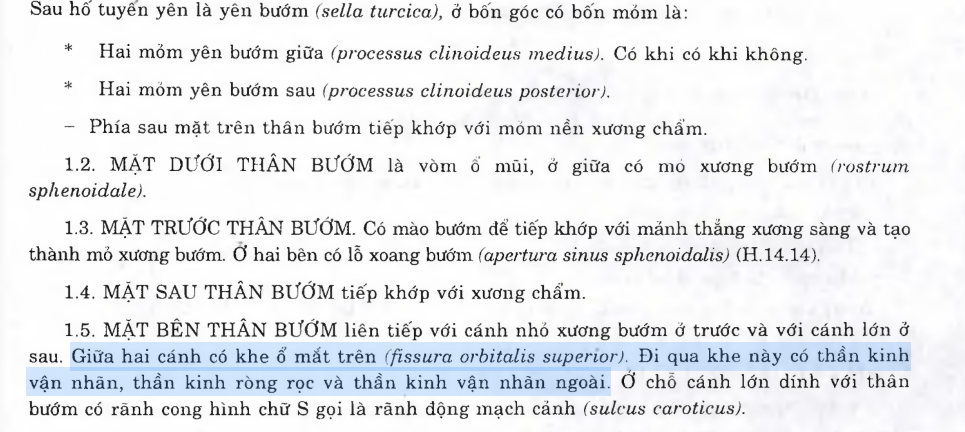 <p>B. TK sọ số III, IV, V1, VI.</p><p><span style="color: purple"><em>(Ròng rọc, vận nhãn chung và vận nhãn ngoài, nhánh mắt TK sinh ba)</em></span></p>