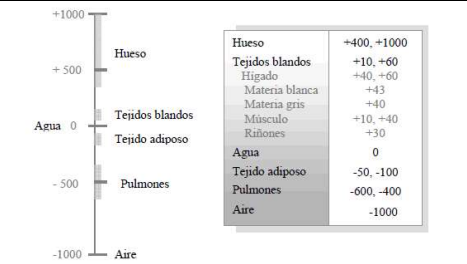 <p>Que se puede concluir</p>