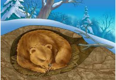 <p><span>When an organism sleeps or rests through most of the winter months.</span></p>