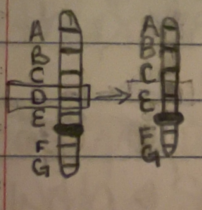 <p>structural change to chromosomes</p>