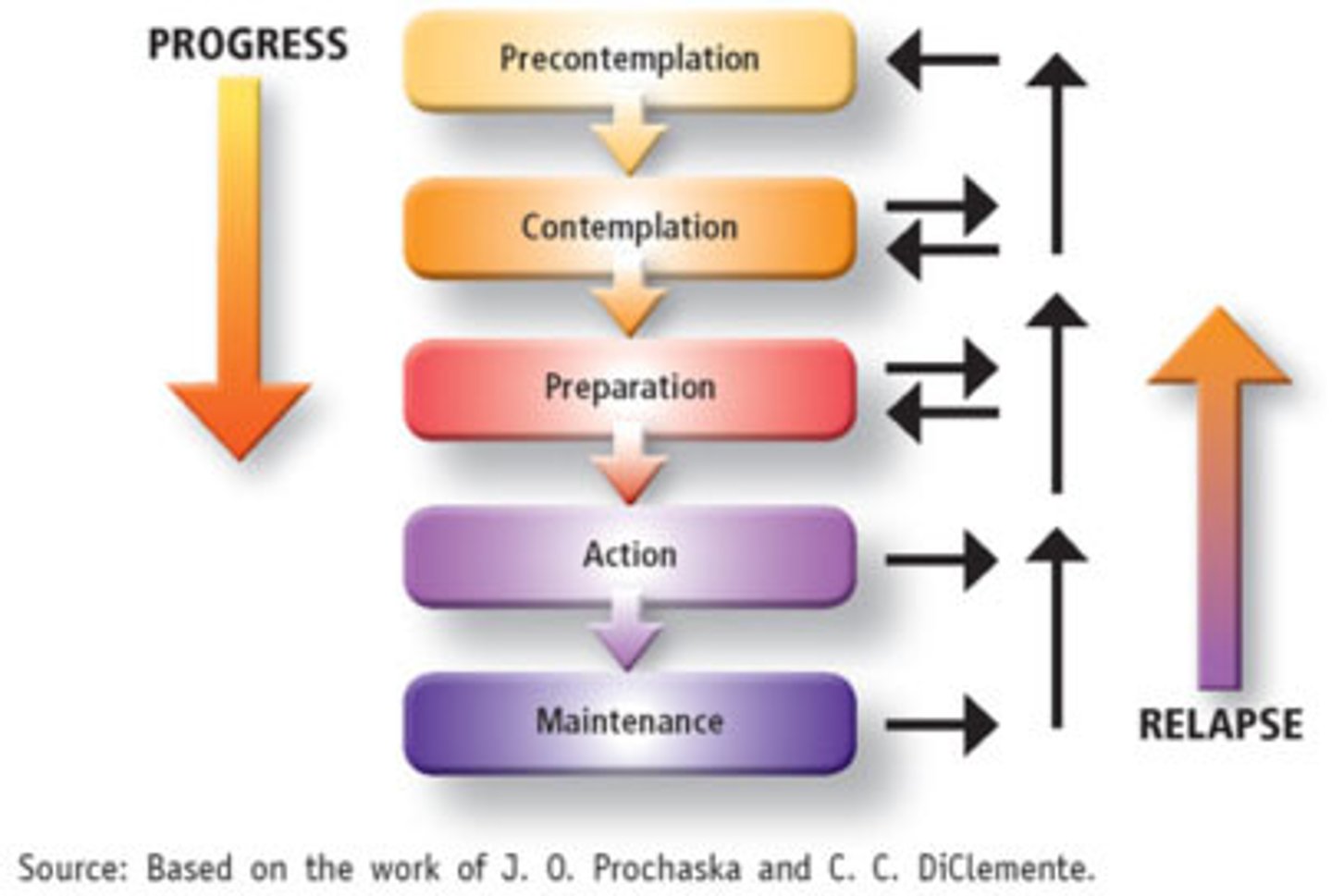 <p>a psychological theory that describes how people progress through distinct stages when attempting to change a behavior</p>