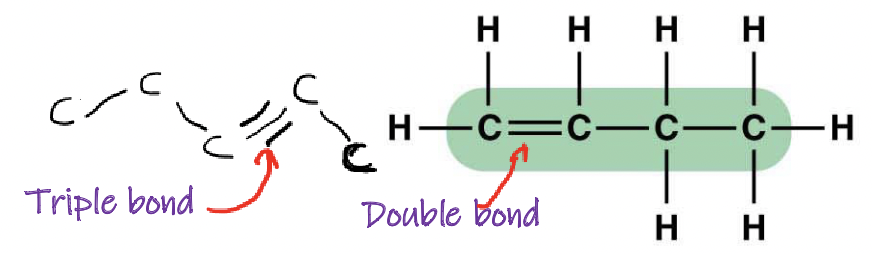 <p>Single, double, and triple bonds</p>