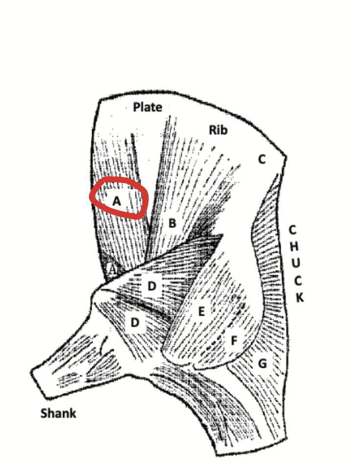 <p>Muscle of the ribcage located over the sternum in the brisket. Extends posteriorly into the plate.</p><p>Composed of deep and superficial layers. The intercostal muscles are located between adjacent ribs in the wall of the chest, and there are two layers in the depth of the muscle.</p><p>Intercostal muscles make an important contribution to the meat content of North American pork spareribs.</p>