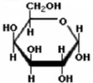 <p>What is this molecule</p>