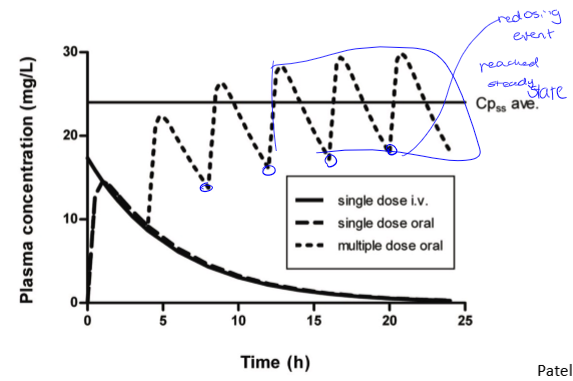 <p>redosing events are at valleys. curve is the same dose for each remedication event. may require changes in initial dose to get a steady state quickly. there is a loading dose and a maintenance dose</p>
