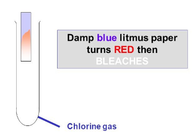 <p>Dip <strong>damp</strong> <span style="color: blue">blue litmus paper</span> in the chlorine gas, it will turn red (because chlorine is acidic) then white (because the chlorine acts as a bleach)</p><p>The gas will also be a green-yellow colour and smell like a swimming pool, but the test above is used to confirm this</p>