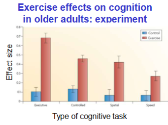 <ul><li><p>Improves blood flow to brain</p></li><li><p>No micro strokes</p></li><li><p>Anti inflammatory effects</p></li><li><p>Decrease neurodenerative disease </p></li></ul><p></p>